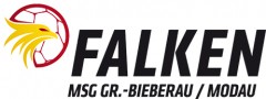 Logo-Falken-web
