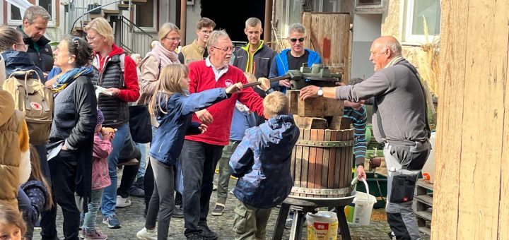 Der TSV keltert