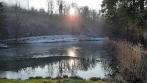 Fischteiche